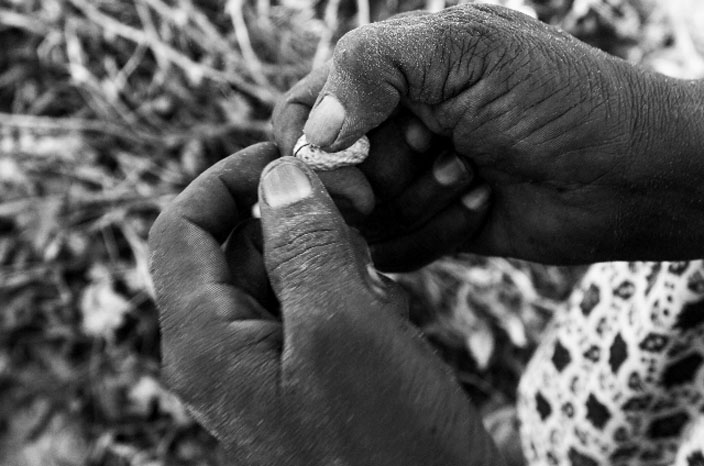 Culture de l’arachide - NDiouckhfissel, commune de Sandiara © Macline Hien