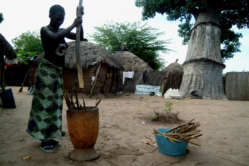 Le pilon est le compagnon de ces femmes rurales. Il n’existe qu’un seul moulin dans le village et l’argent n’est pas toujours disponible. N’Diouckh Fissel.2010 © Amadou Keita