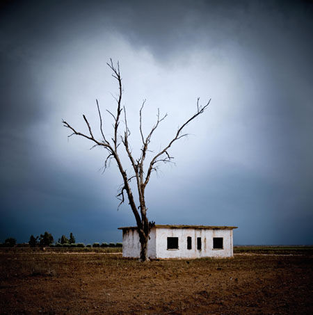 Khalil Nemmaoui, série « La maison de l’arbre », 2009 © Khalil Nemmaoui