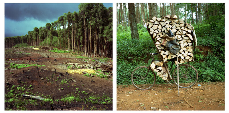 (g.) Nyka Plateau - (d.) Zomba Plateau © Emilie Reynaud