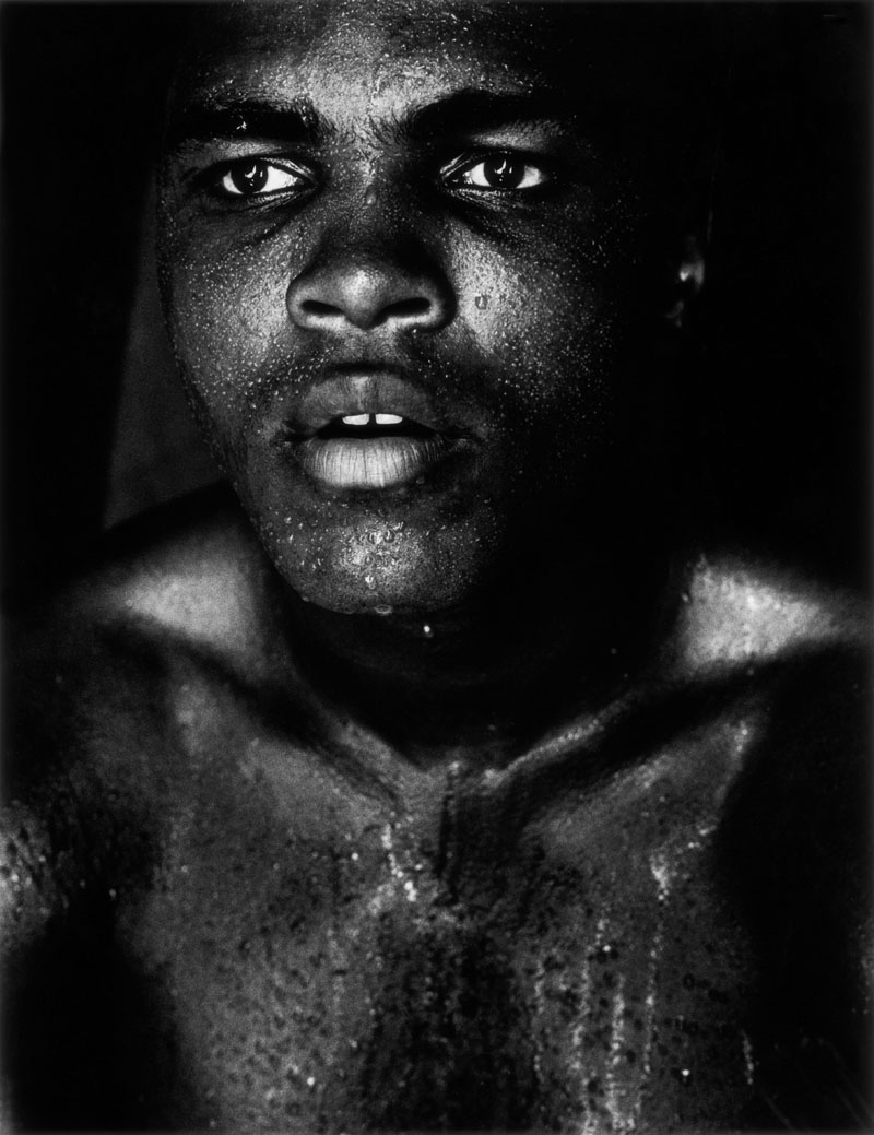 Muhammad Ali, Floride, 1966 © The Gordon Parks Foundation. Courtesy The Gordon Parks Foundation. Photograph by Gordon Parks