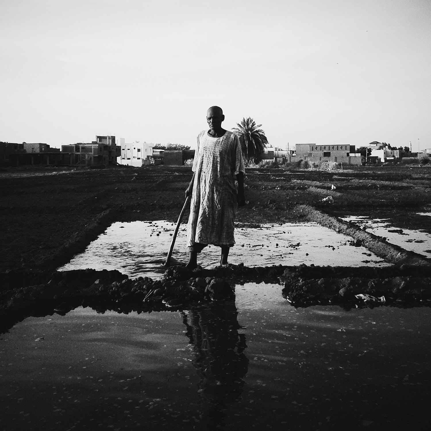 The Farmer Tuti Island Khartoum © Hisham Abdelaziz Mamoun